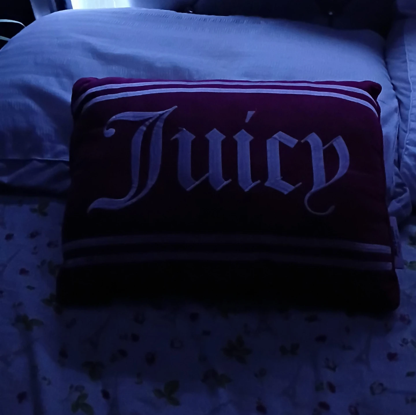 Juicy Couture Throw Pillow