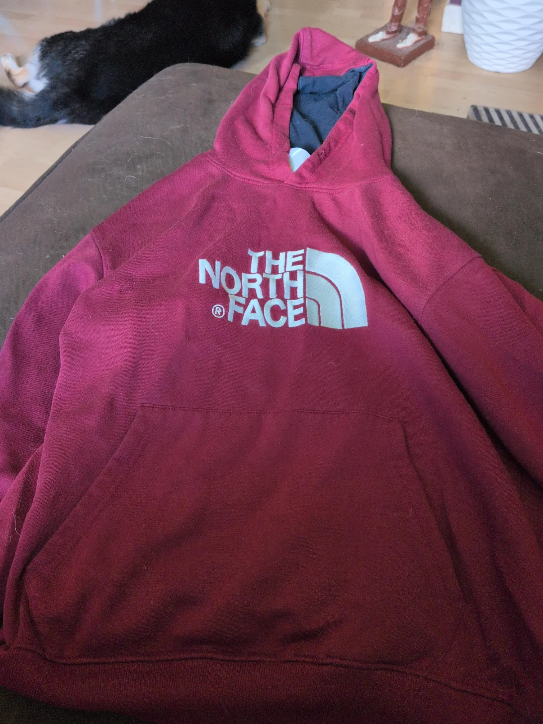 The North Face Burgundy Hoodie