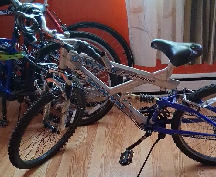 Rhino Aluminum Full Suspension Mountain Bike