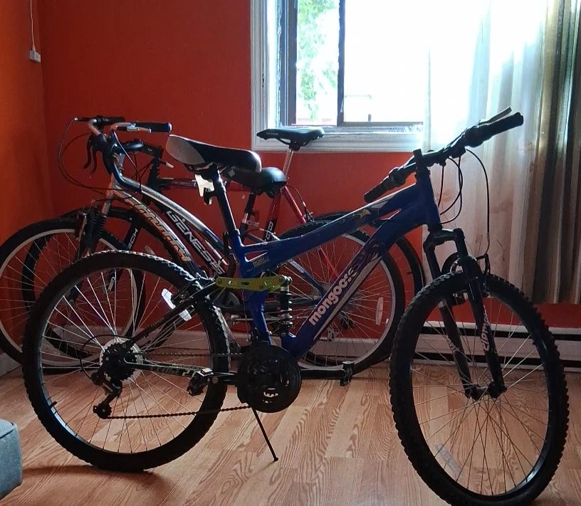 Mongoose Blue Full Suspension Mountain Bike