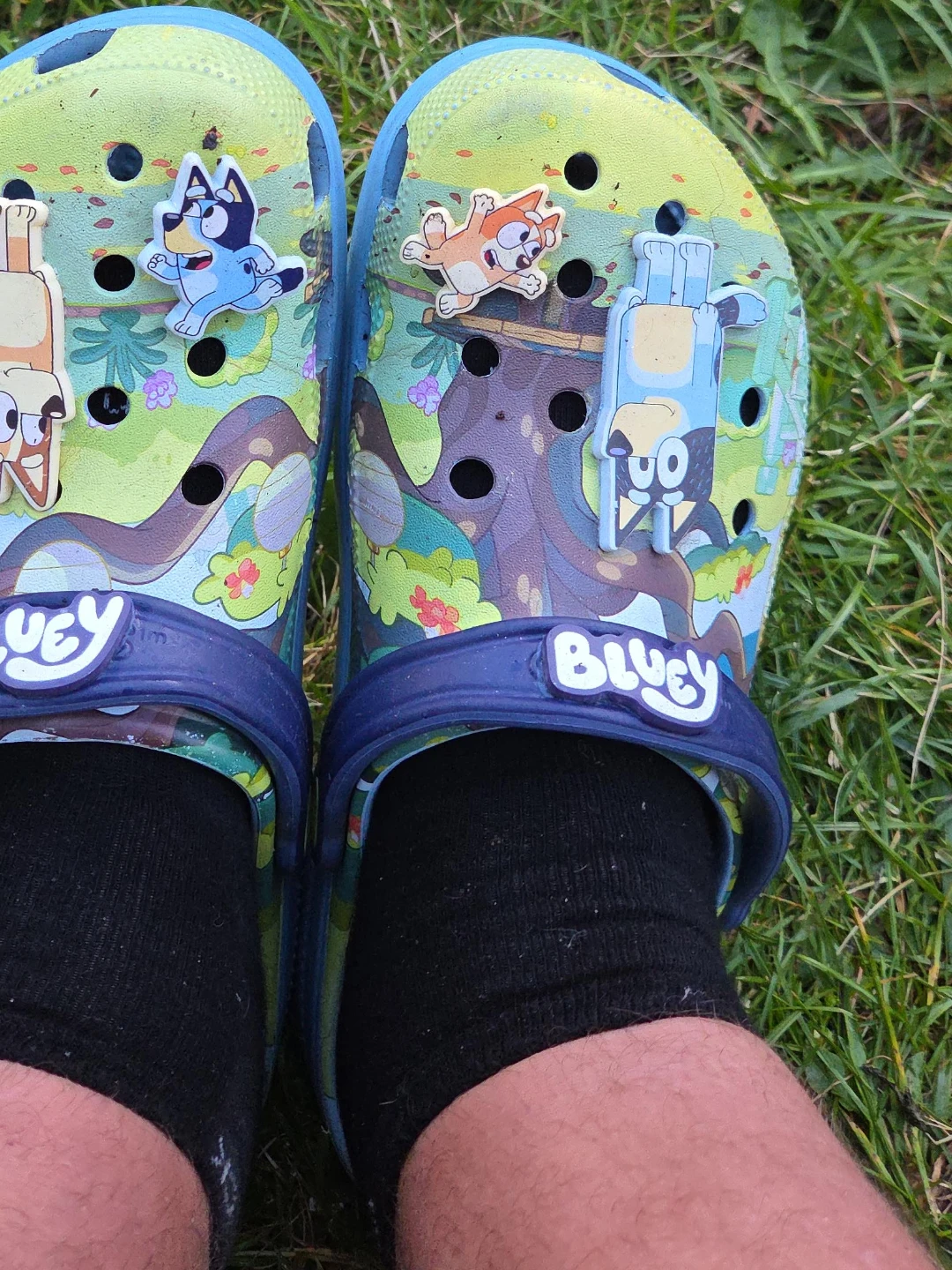 Bluey Crocs Size 10M/12W