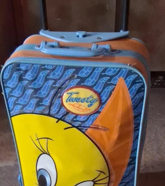 Tweety Bird Kids Rolling Luggage