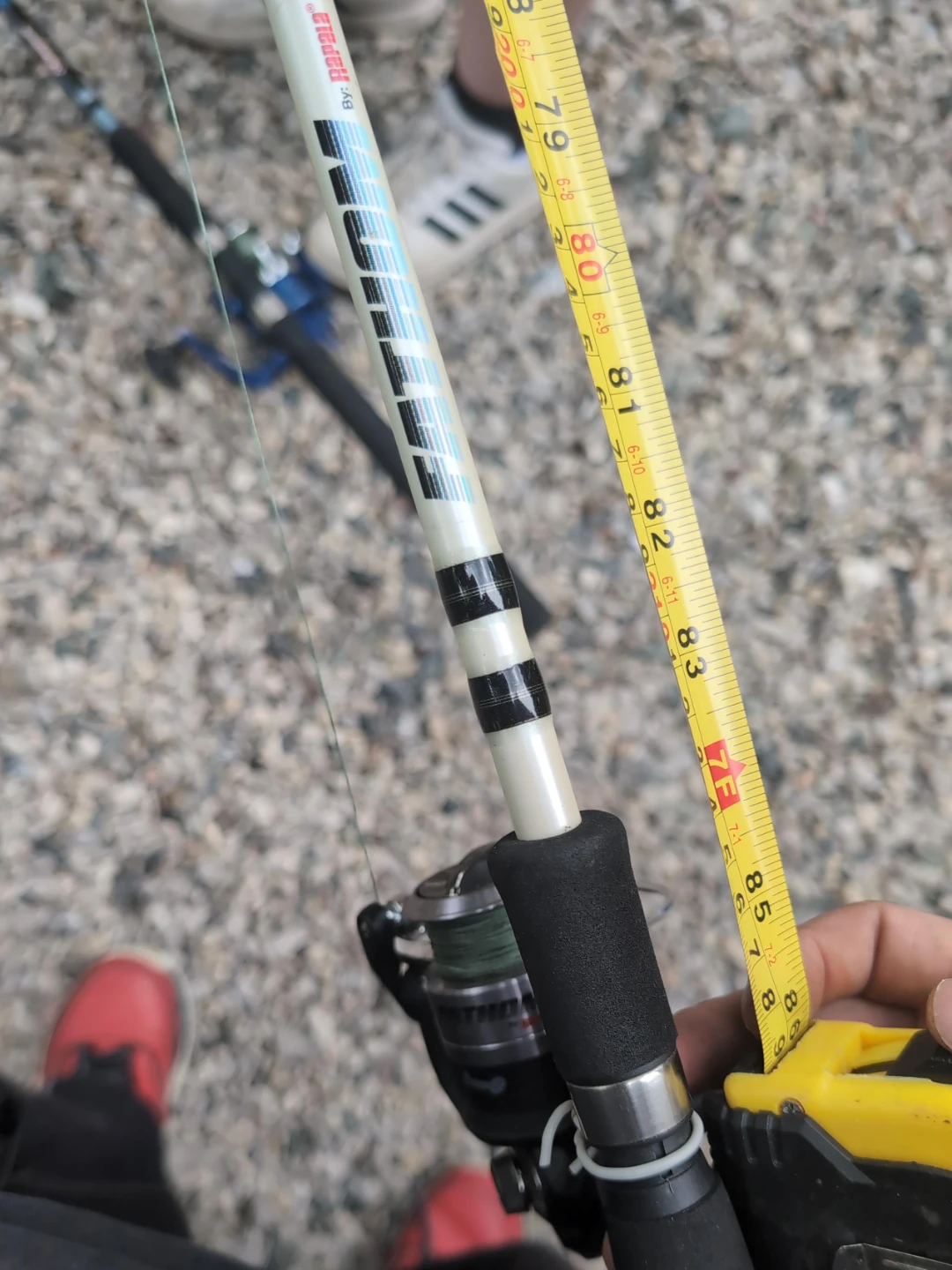 Fandom Rapala Fishing Rod