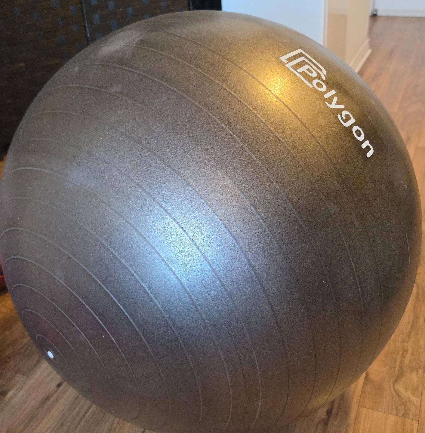 Polygon Exercise Ball