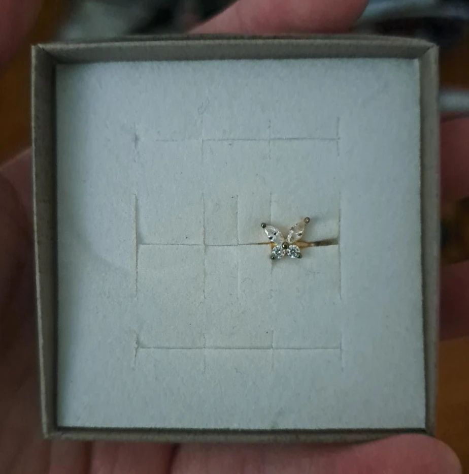 Single Butterfly Earring