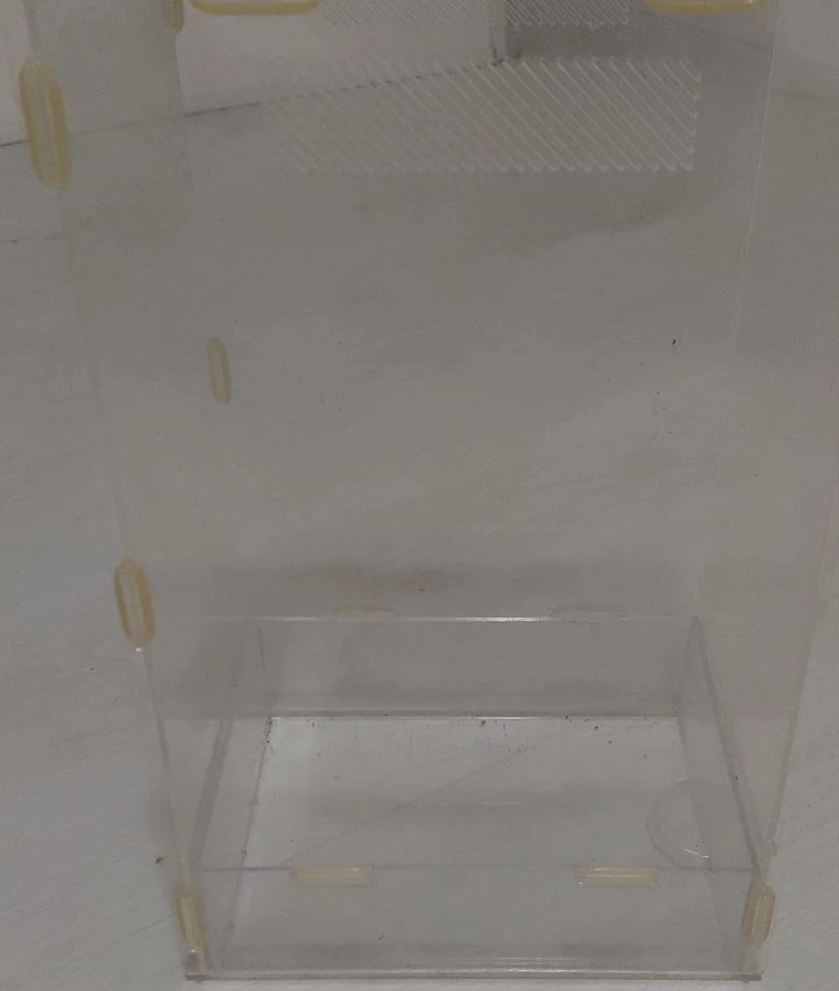 Clear Acrylic Display Case / Terrarium