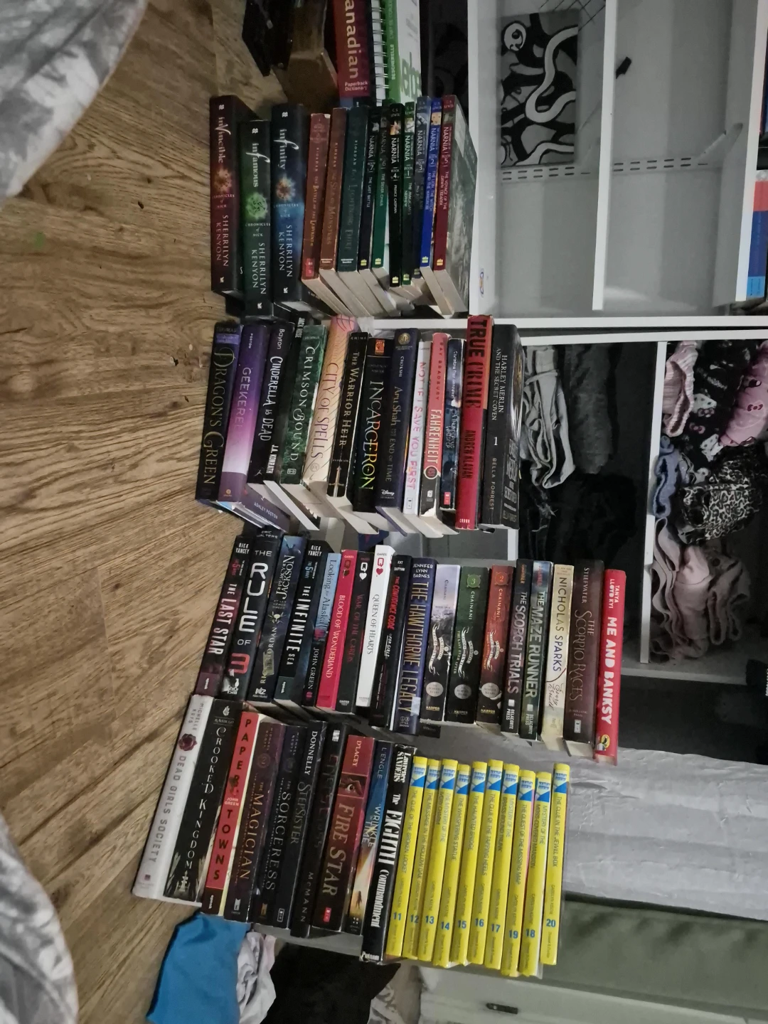 Collection of Young Adult and Children's Books