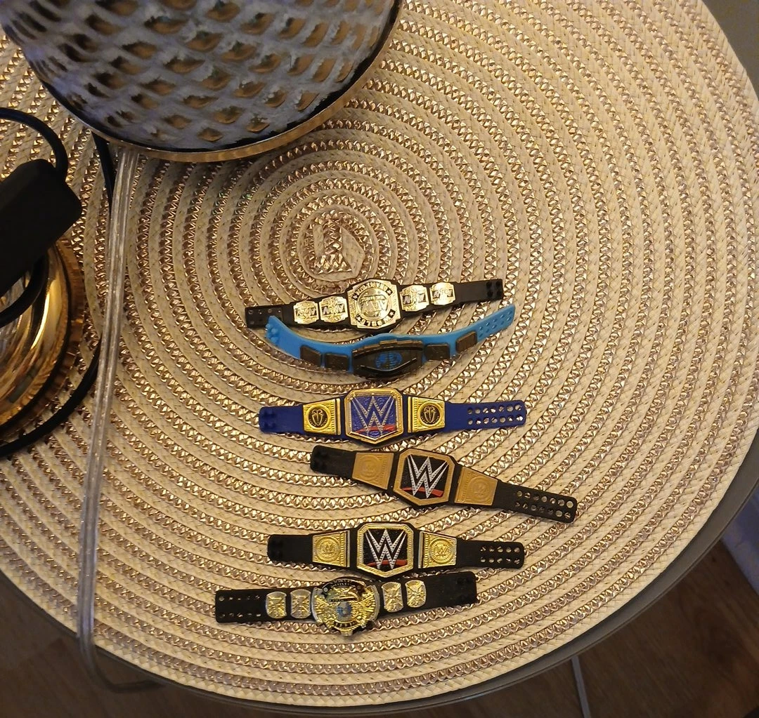 WWE Championship mini Replica Belts Lot