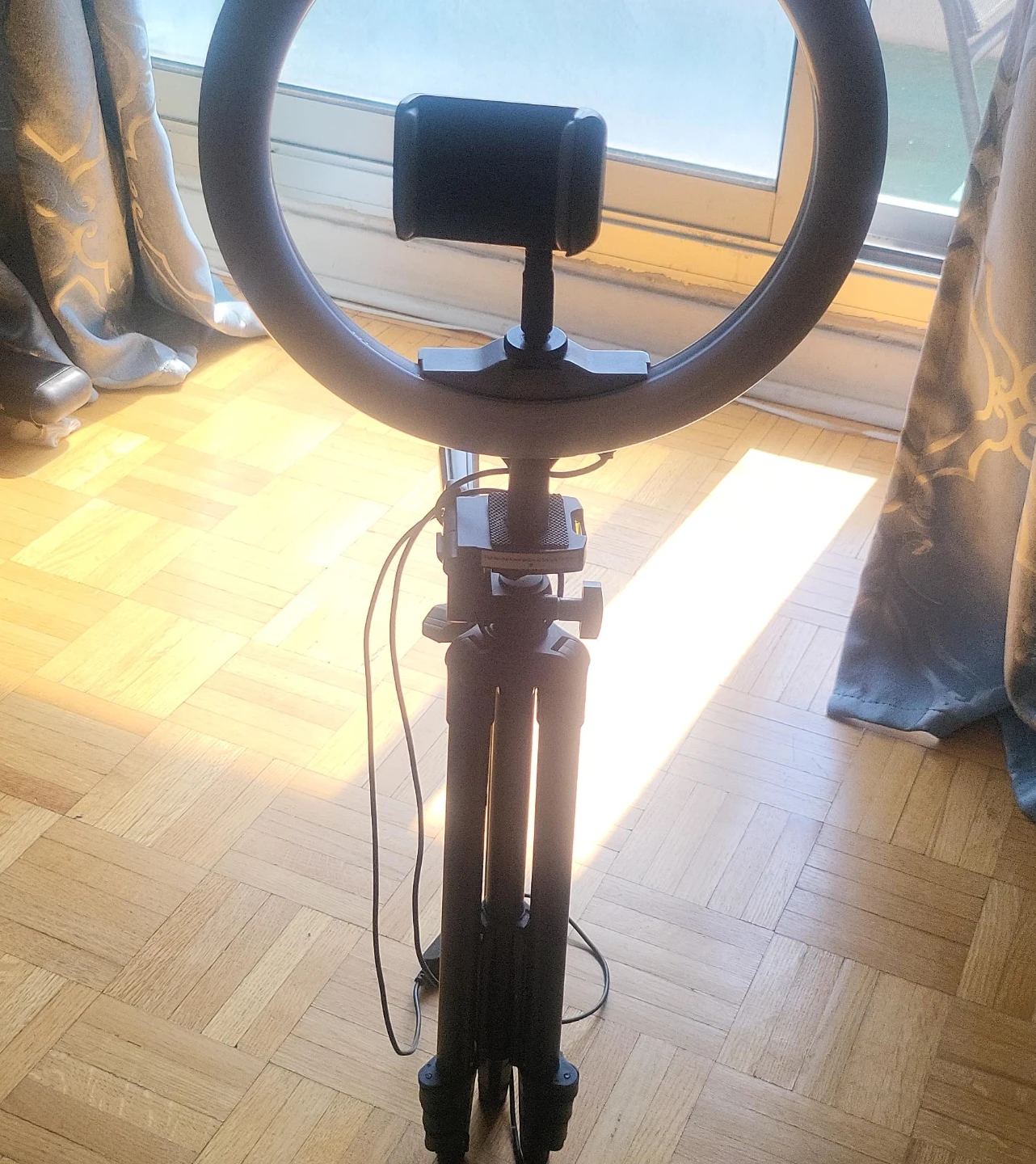 Ring Light with Tripod and Phone Mount