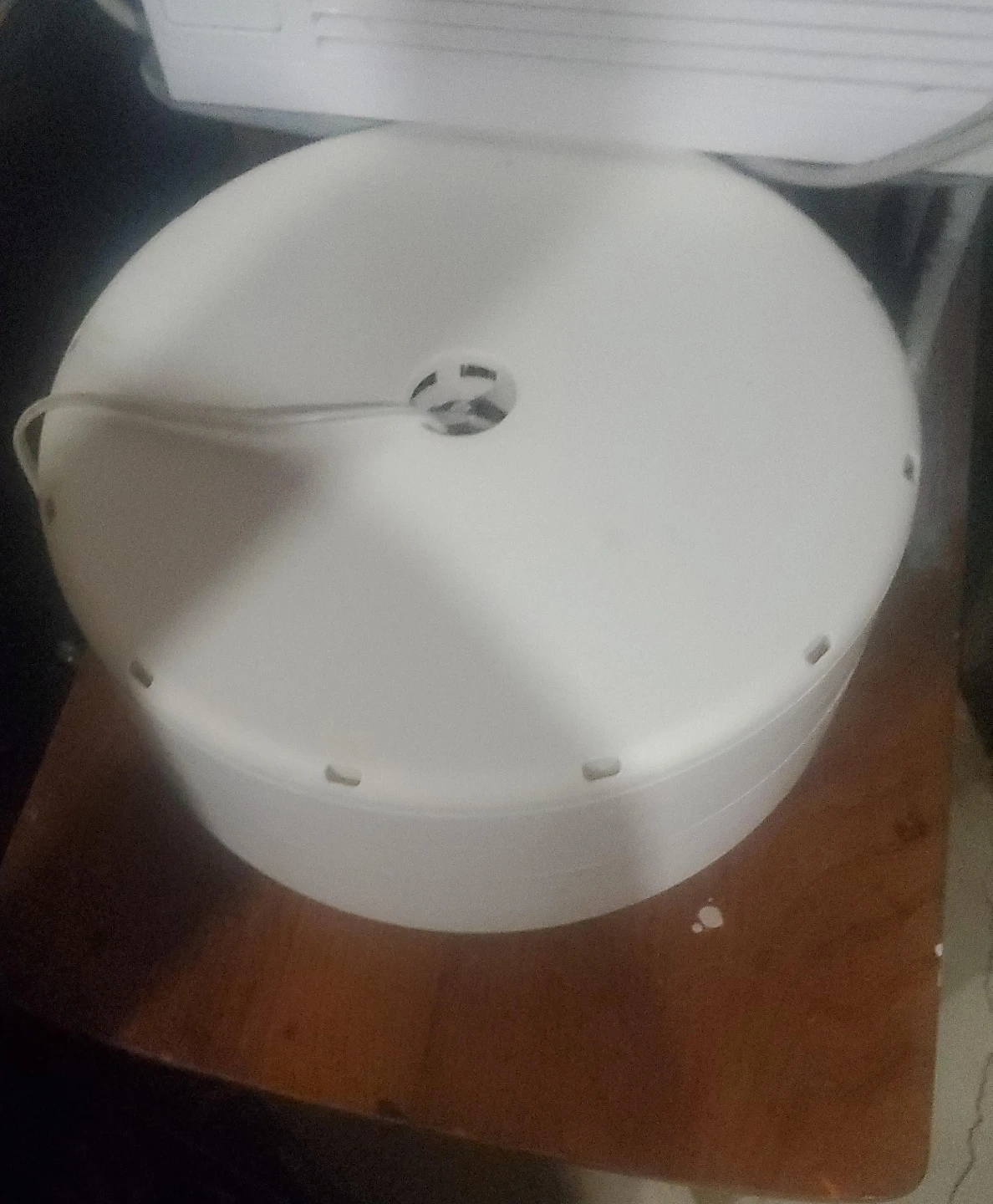 White Dehydrator