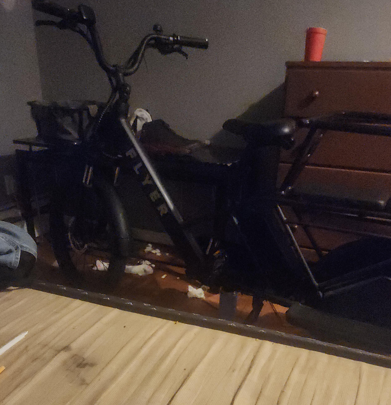 Flyer Electric Cargo Bike