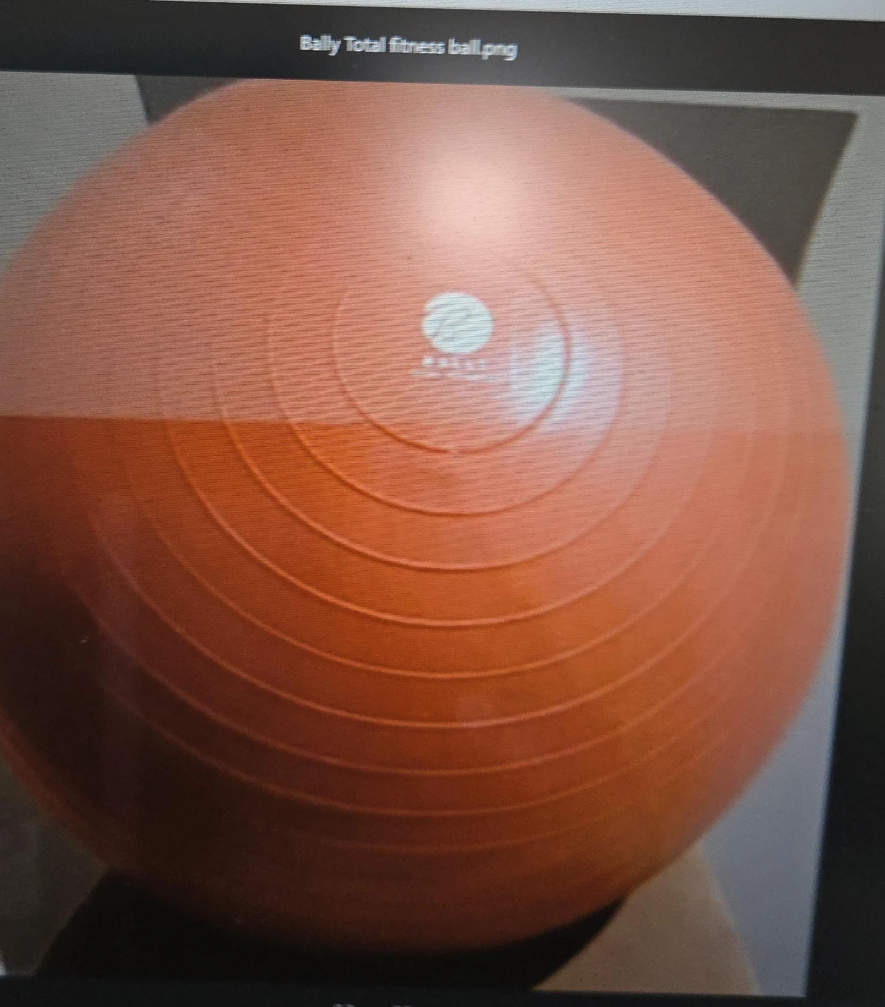 Bally Total Fitness Exercise Ball
