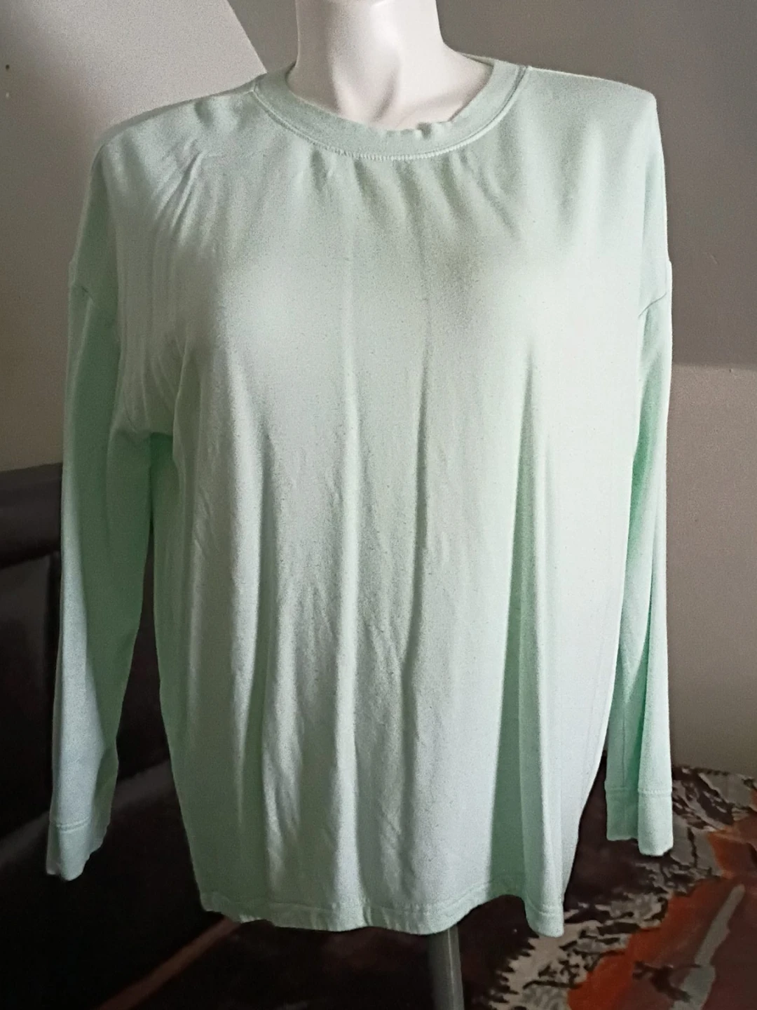 Light Green Long Sleeve Top