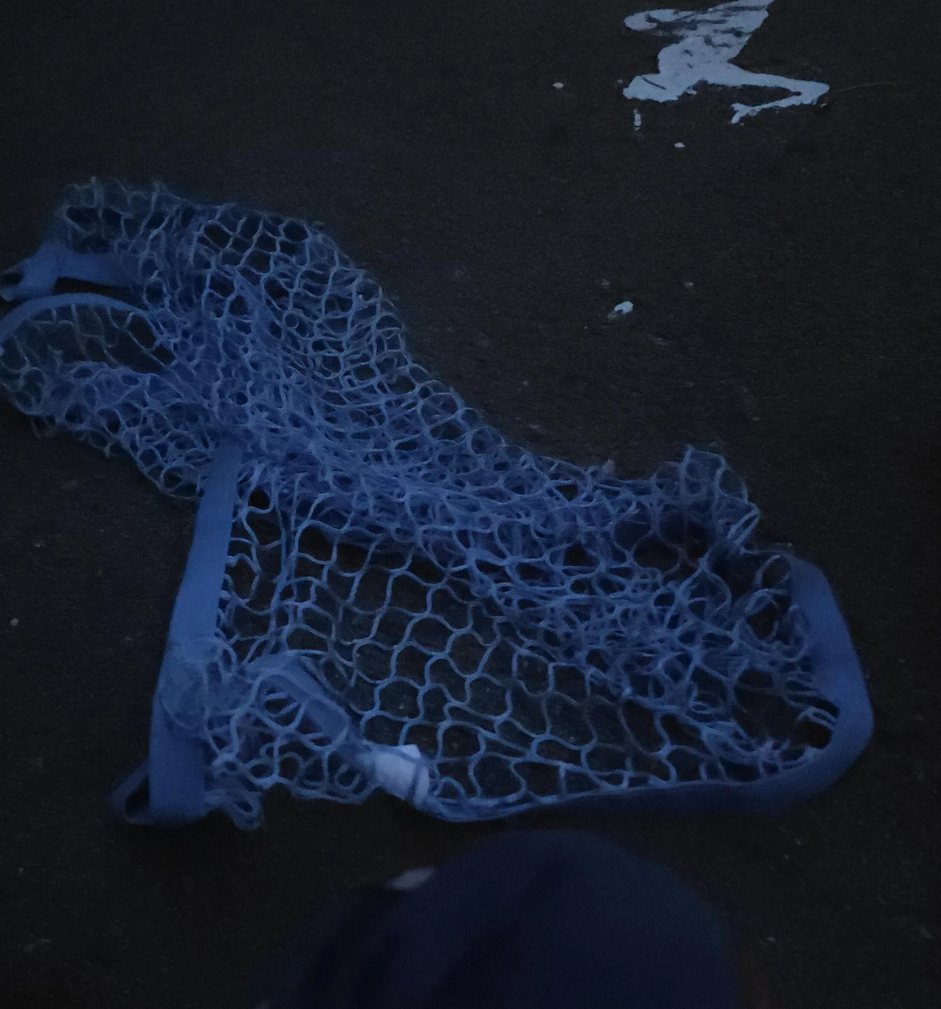 Blue Mesh Tote Bag