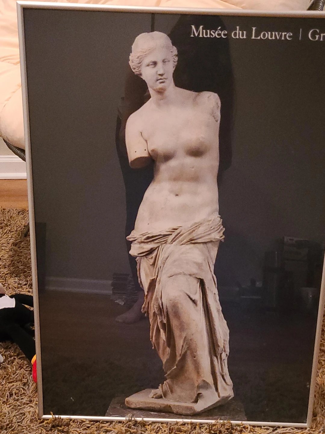 Musée du Louvre Venus de Milo Print