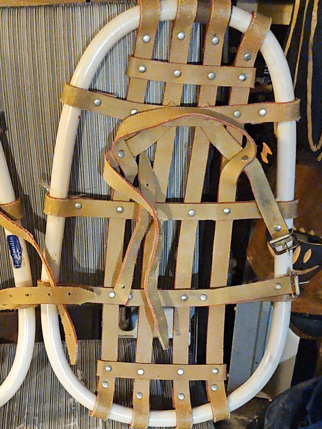 Lapplandia Snowshoes