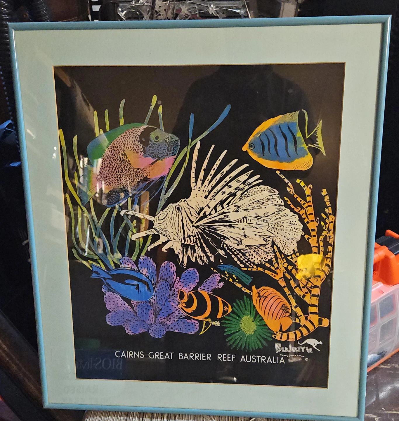 Framed Artwork: Cairns Great Barrier Reef Australia
