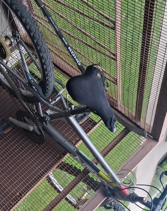 Koho Mountain Bike