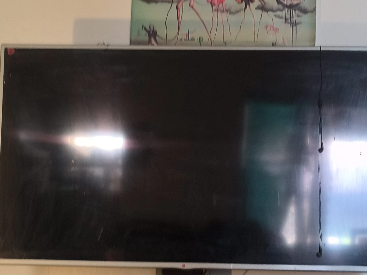 LG Flat Screen Television