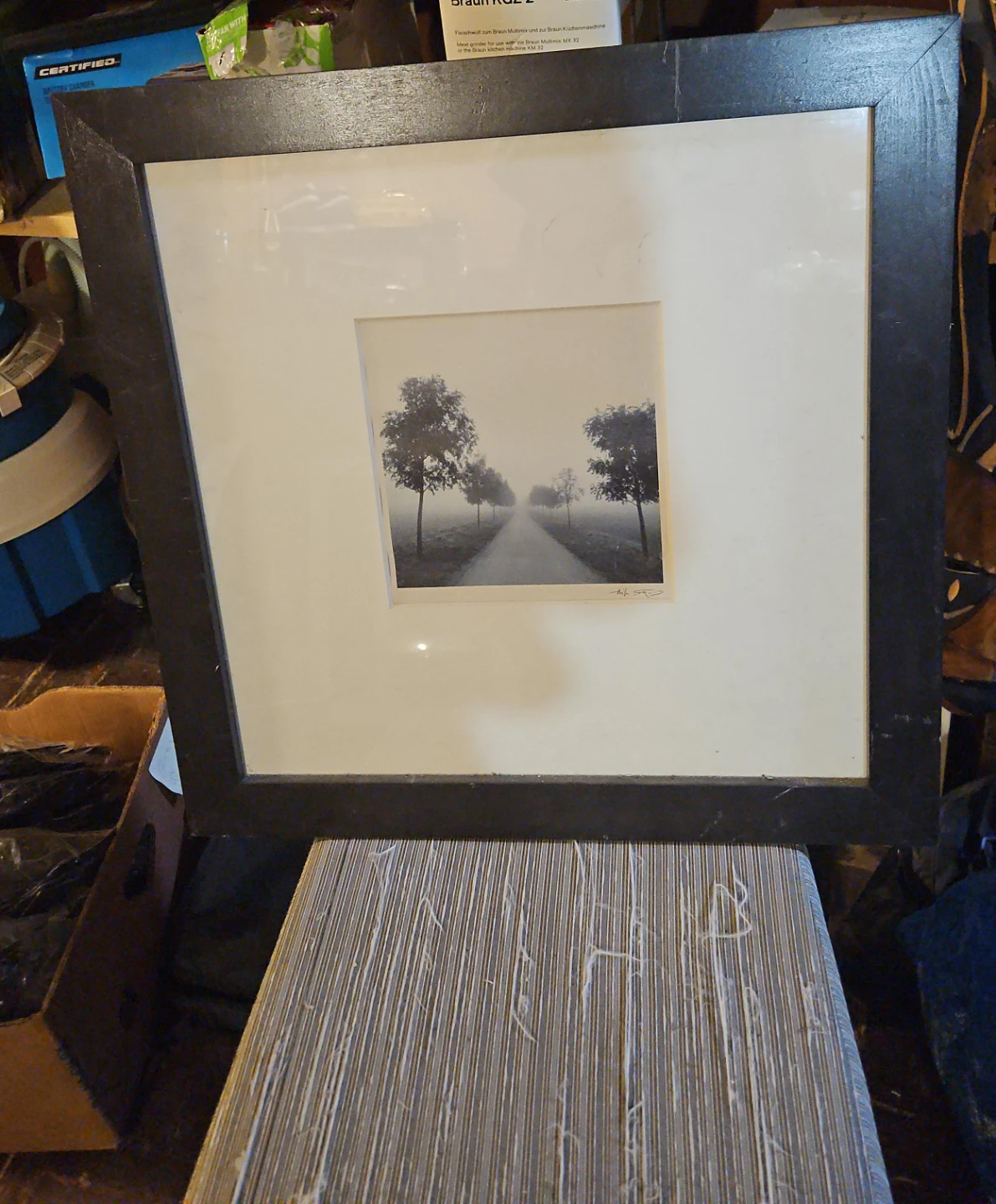 Framed Photograph of Tree-Lined Road