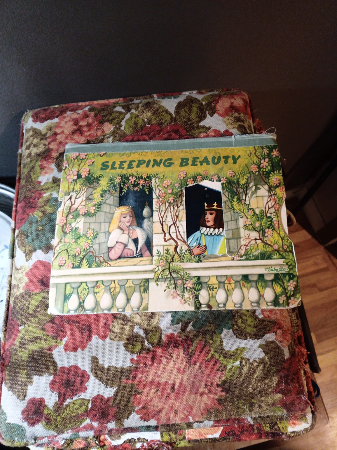 Sleeping Beauty Book haunted