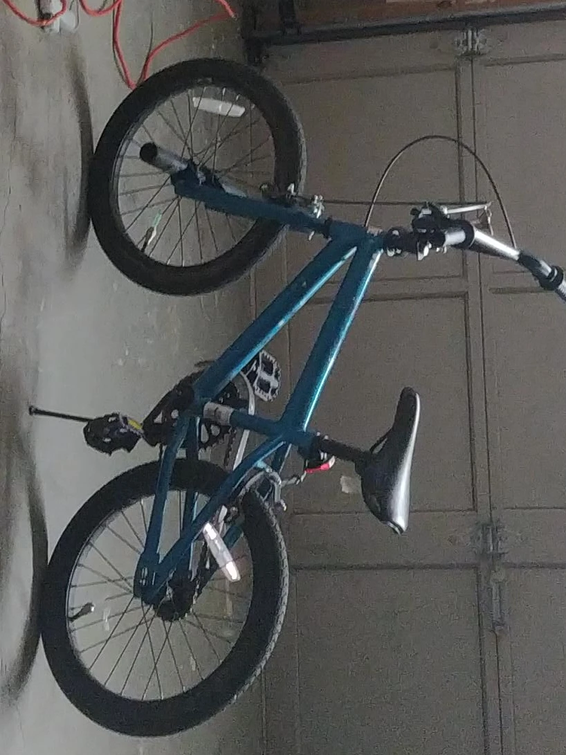 Teal Kids' BMX Bike