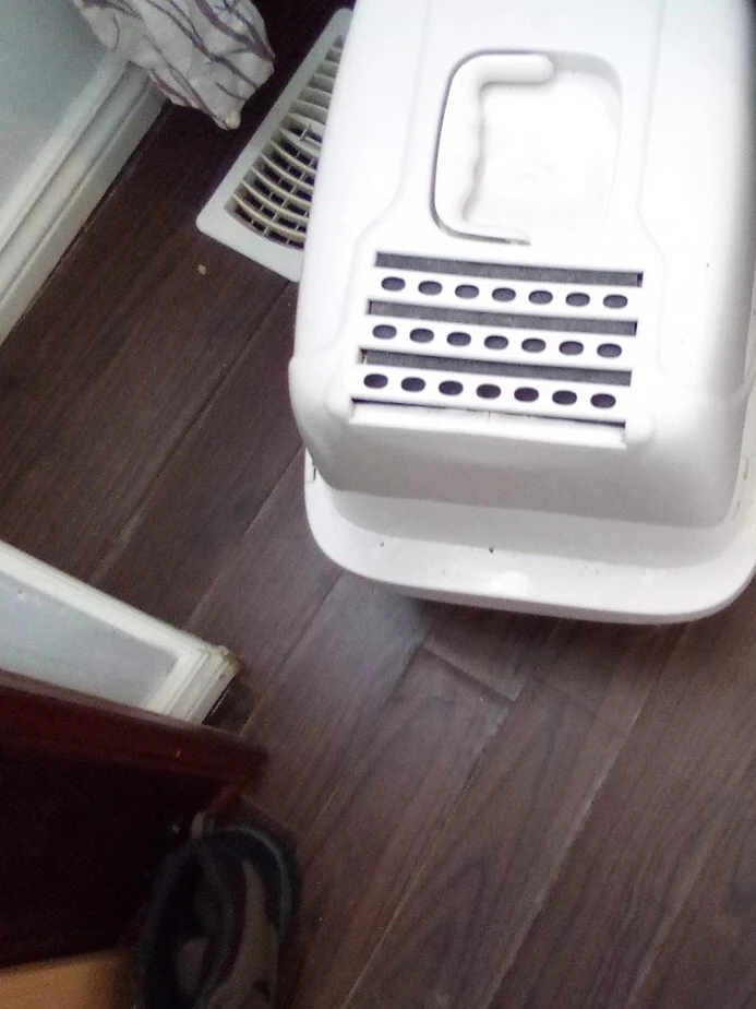 White cat litter dome
