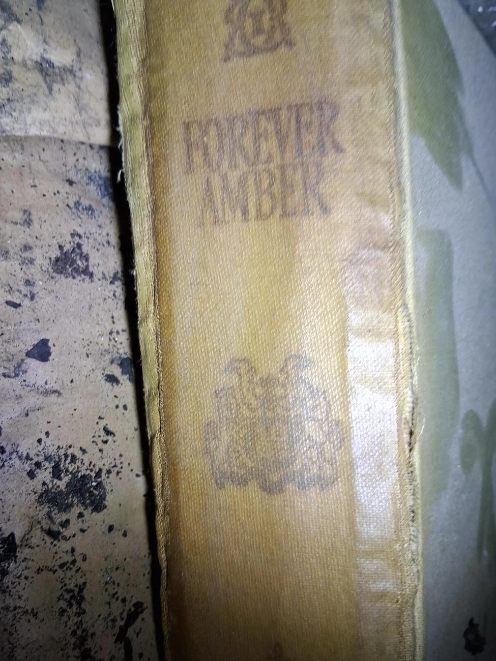 Forever Amber Book