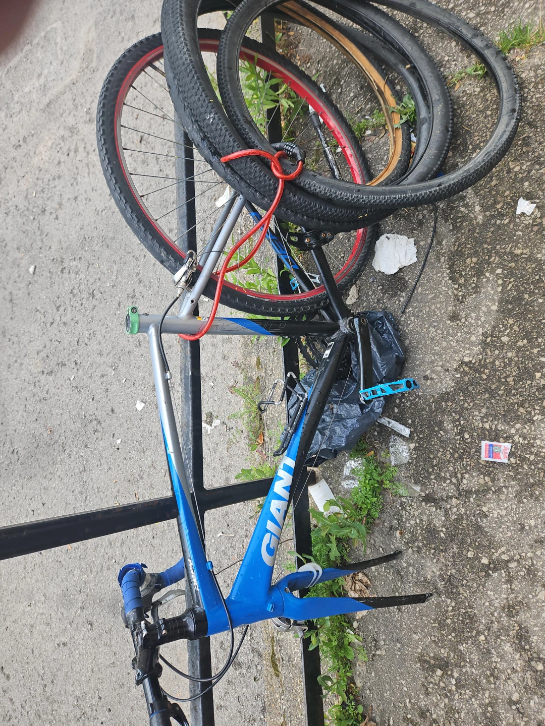 Giant Road Bike Frame