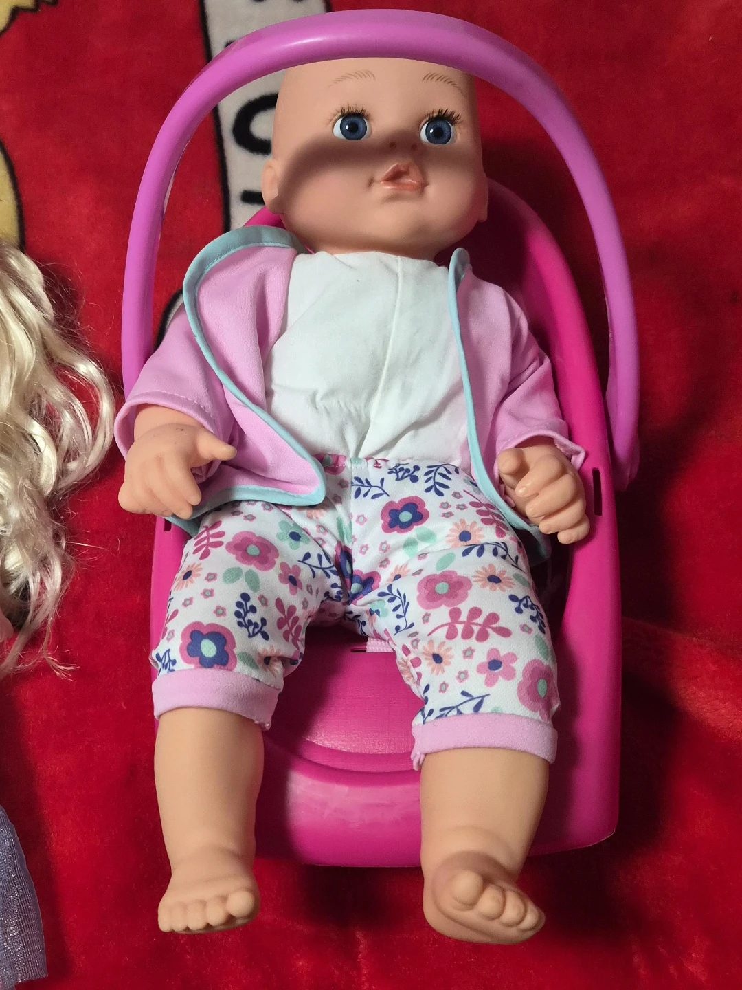Baby Doll in Carrier