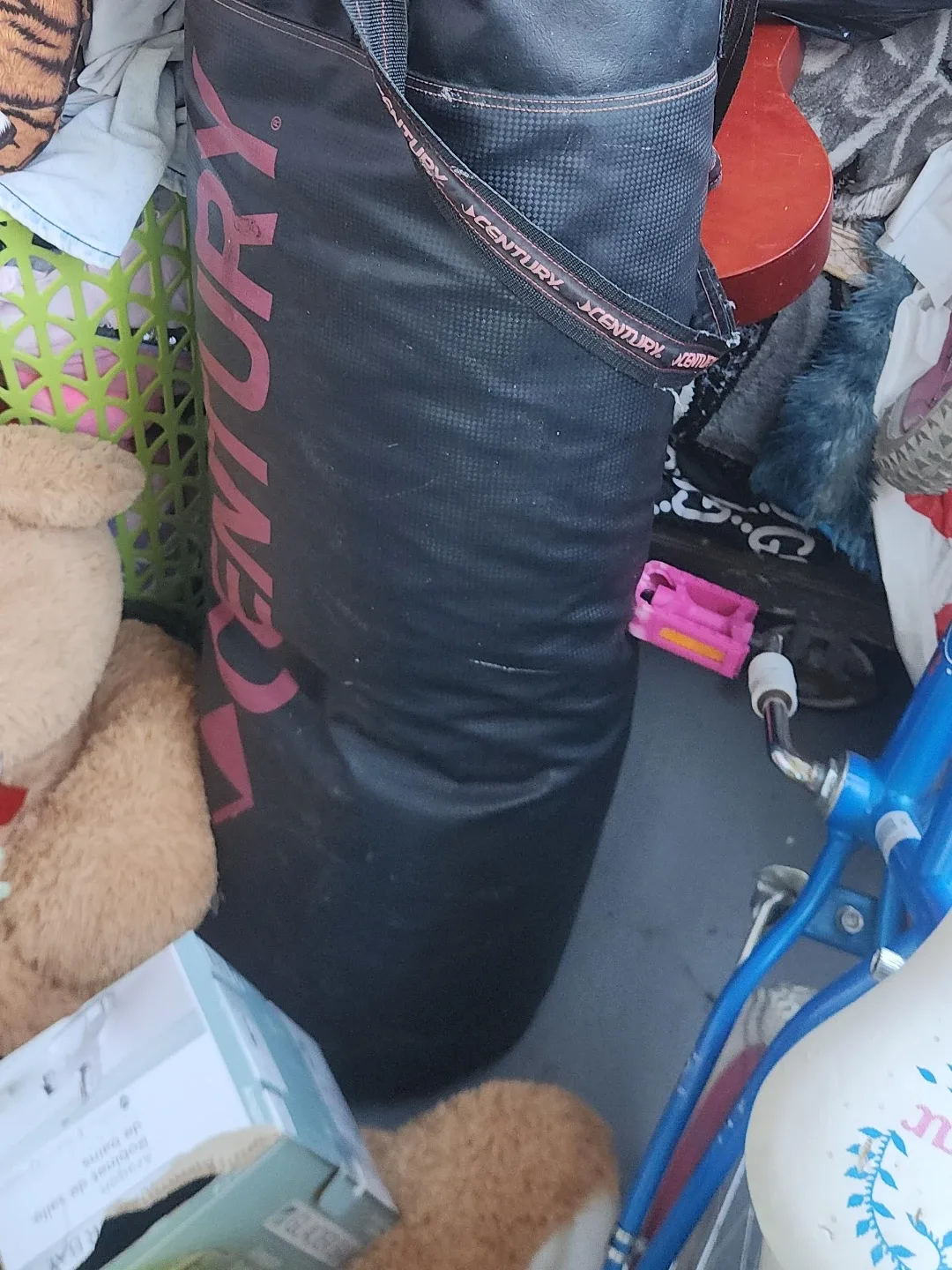 Century Punching Bag