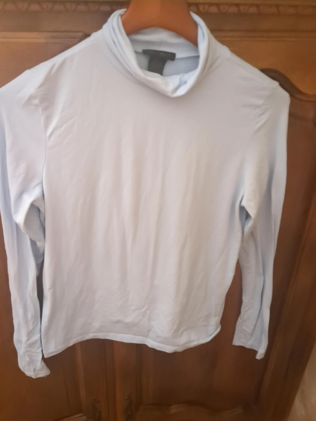 The Limited Long Sleeve Turtleneck Top