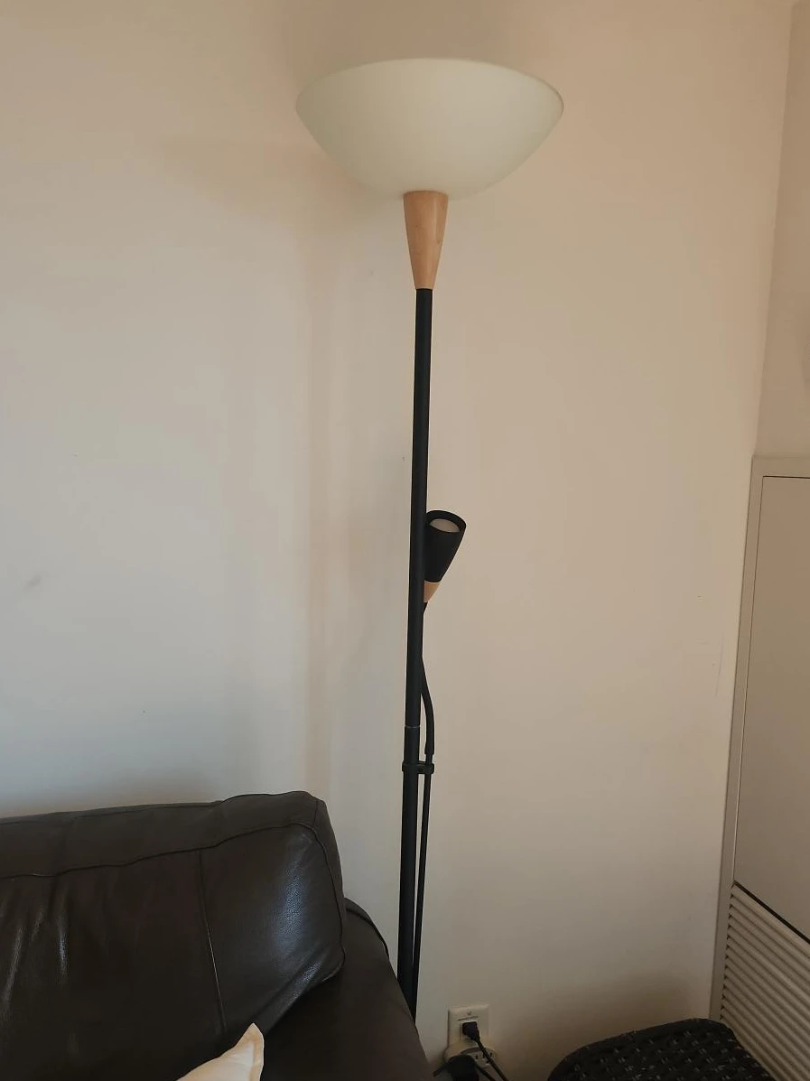 Black Floor Lamp with Reading Light