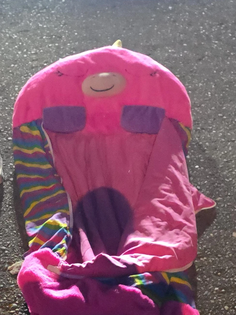 Pink Unicorn Sleeping Bag