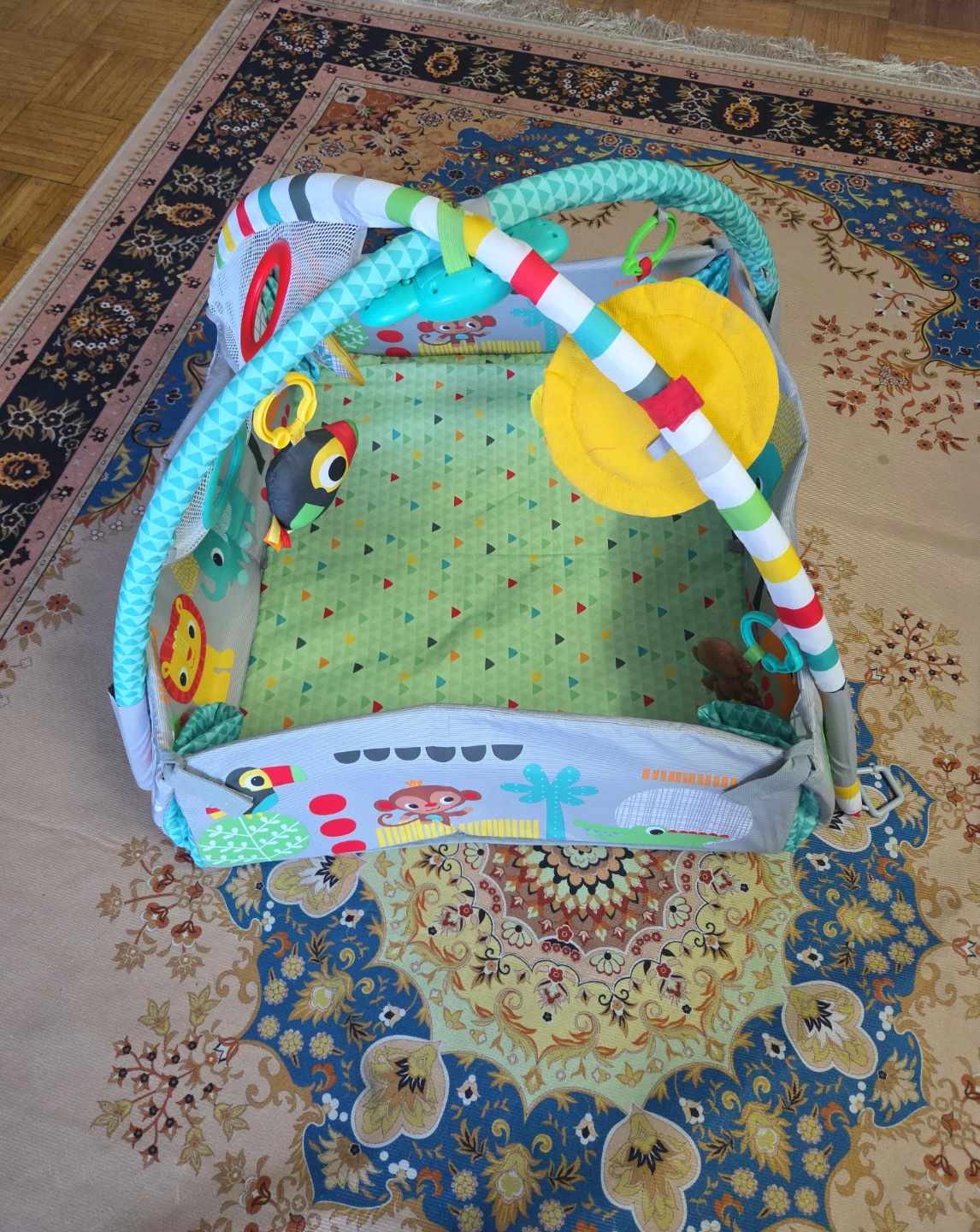 Baby Play Gym Activity Center