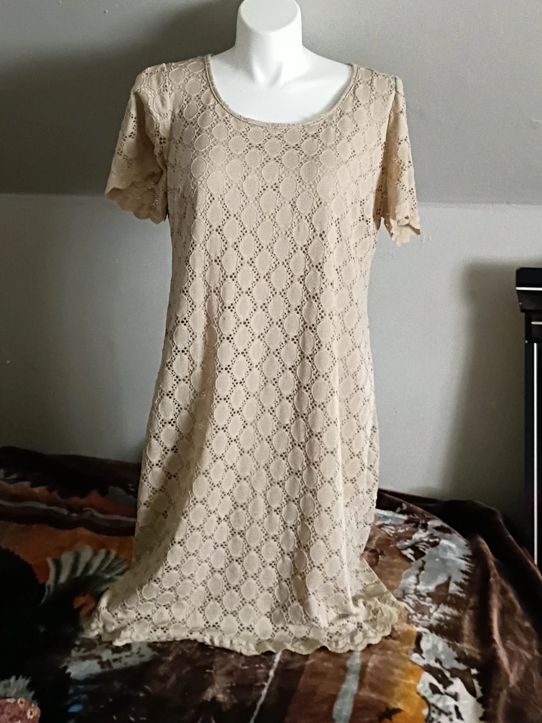 Beige Lace Short Sleeve Dress