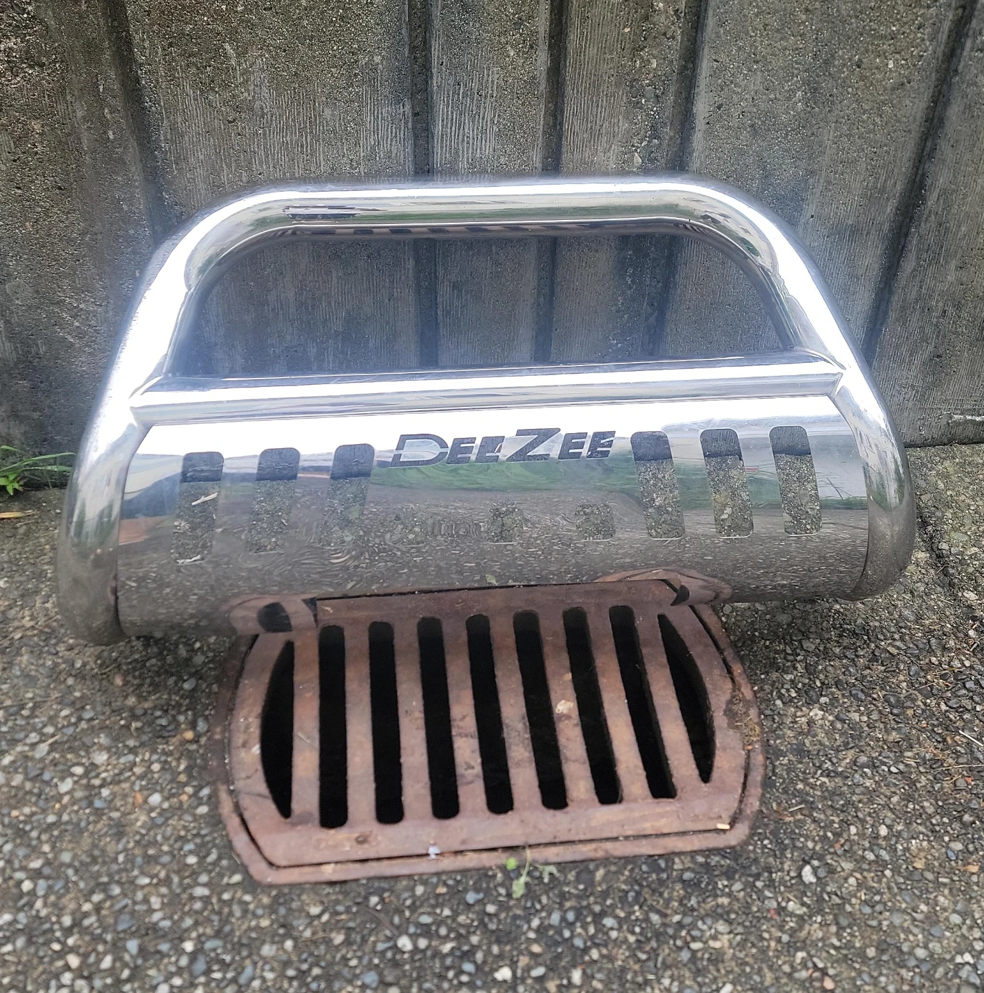 DELZEE Chrome Bull Bar