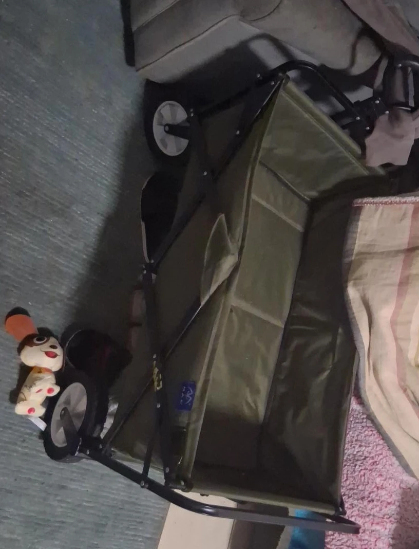 Green Folding Wagon