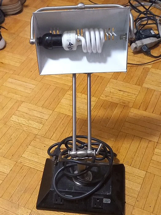 Desk Lamp with 4-Pin Compact Fluorescent Bulb