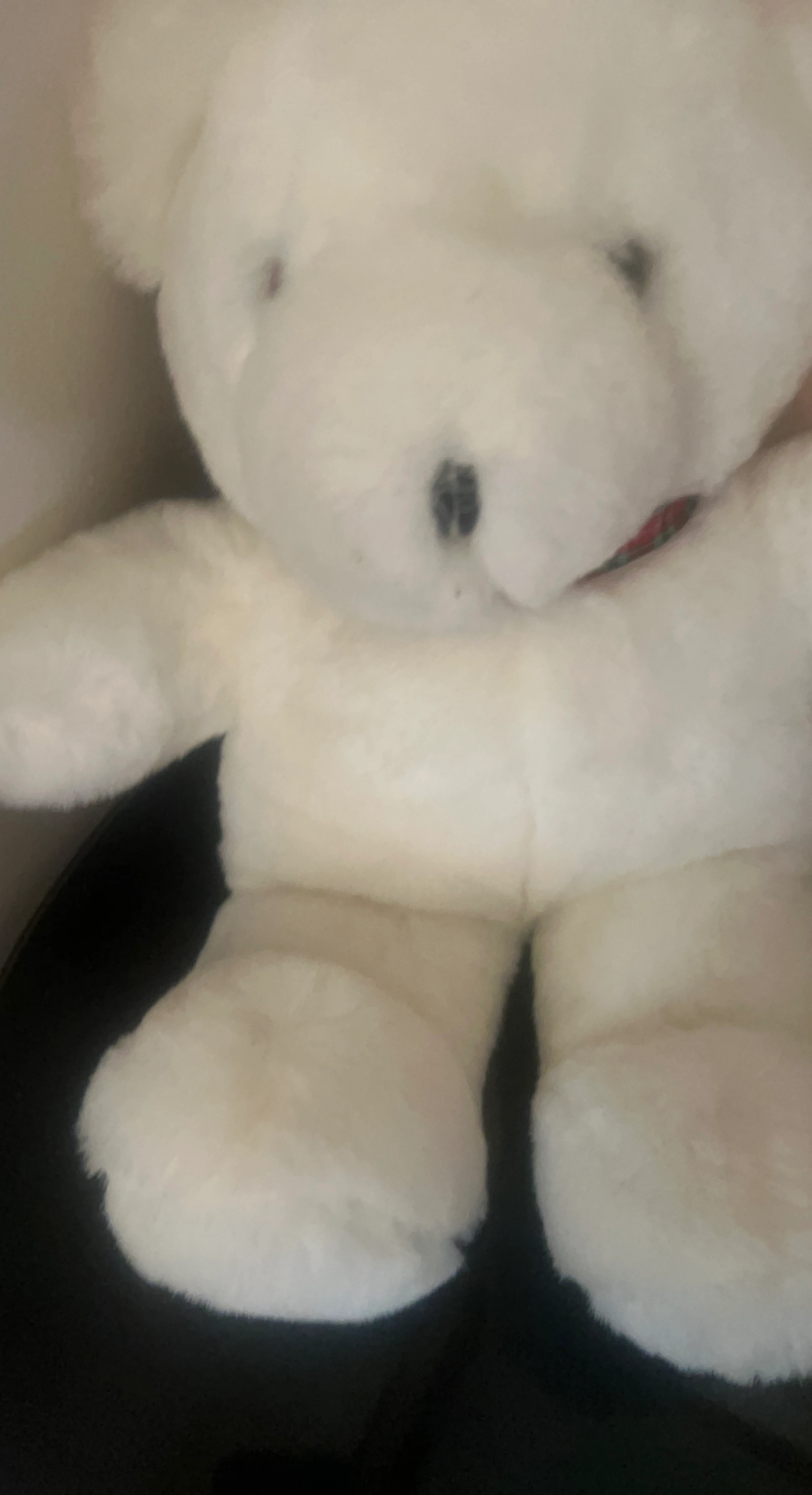 White Teddy Bear Plush Toy