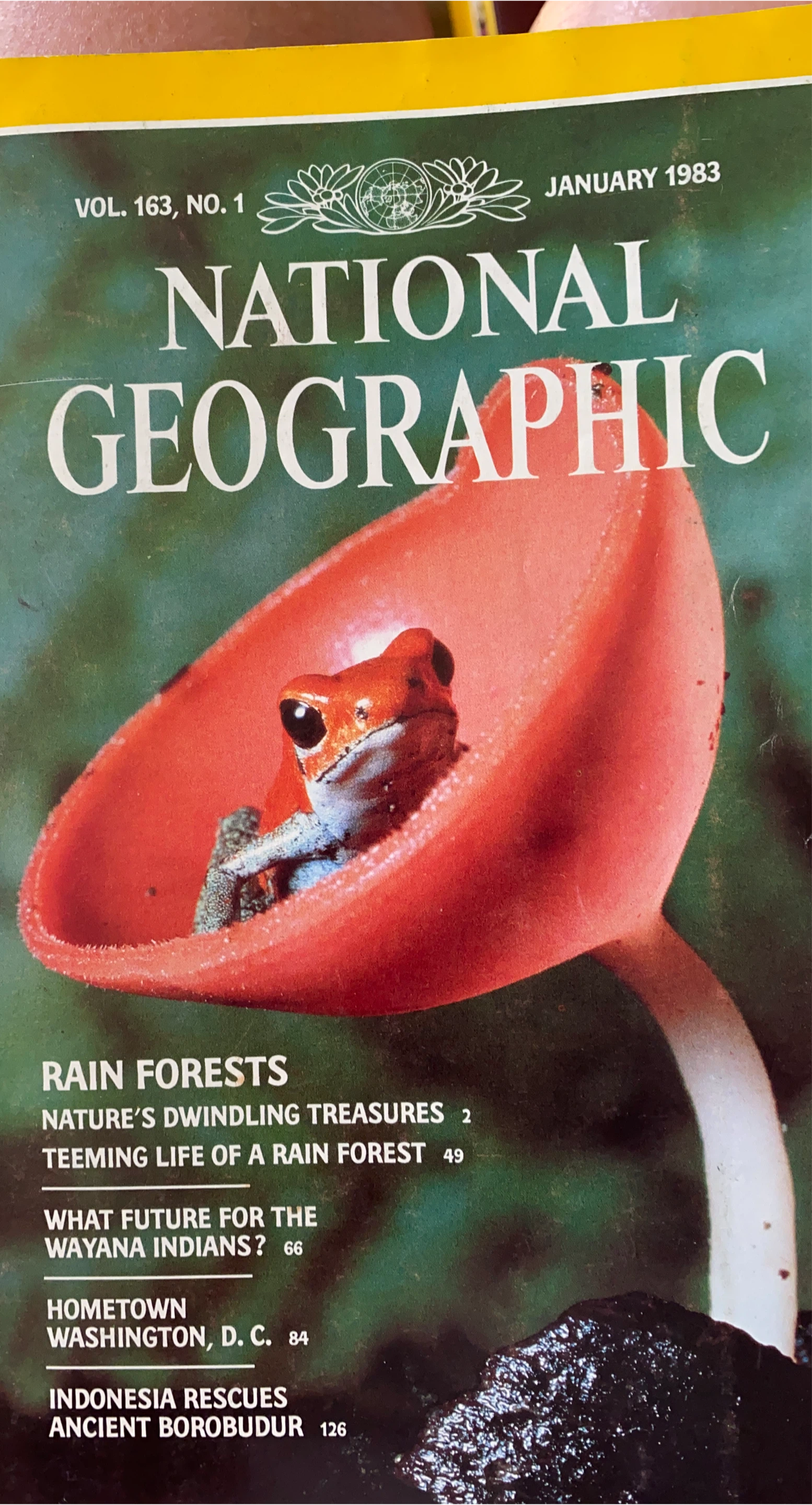 National Geographic Magazine - January 1983