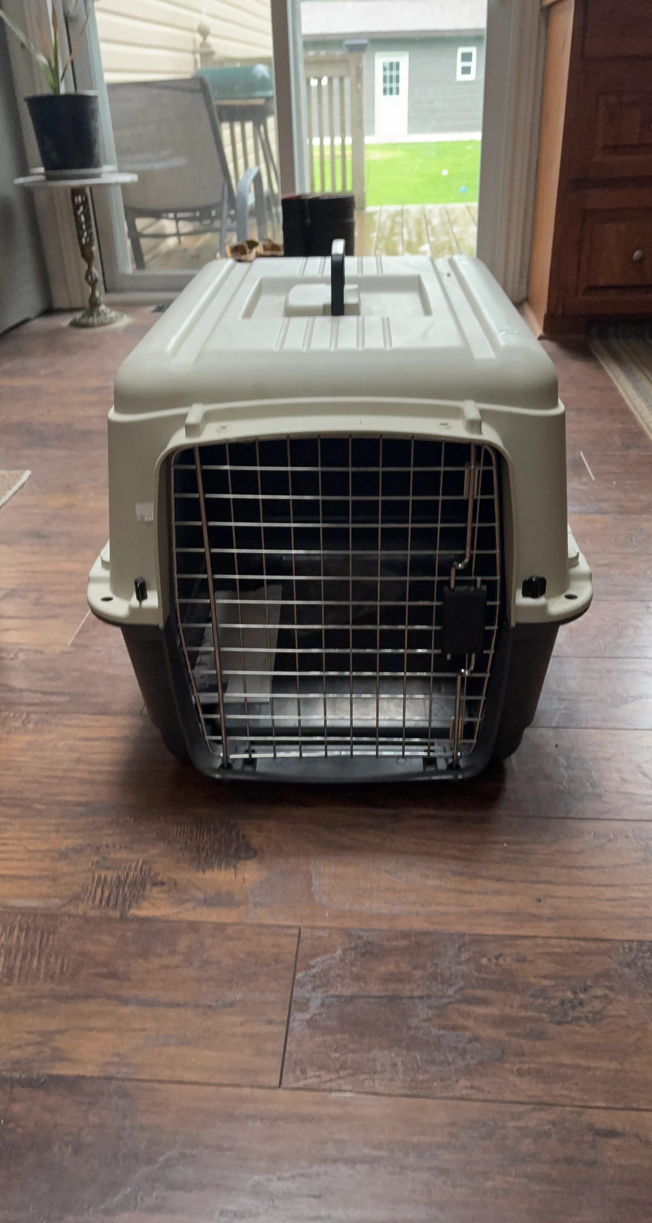Pet Carrier