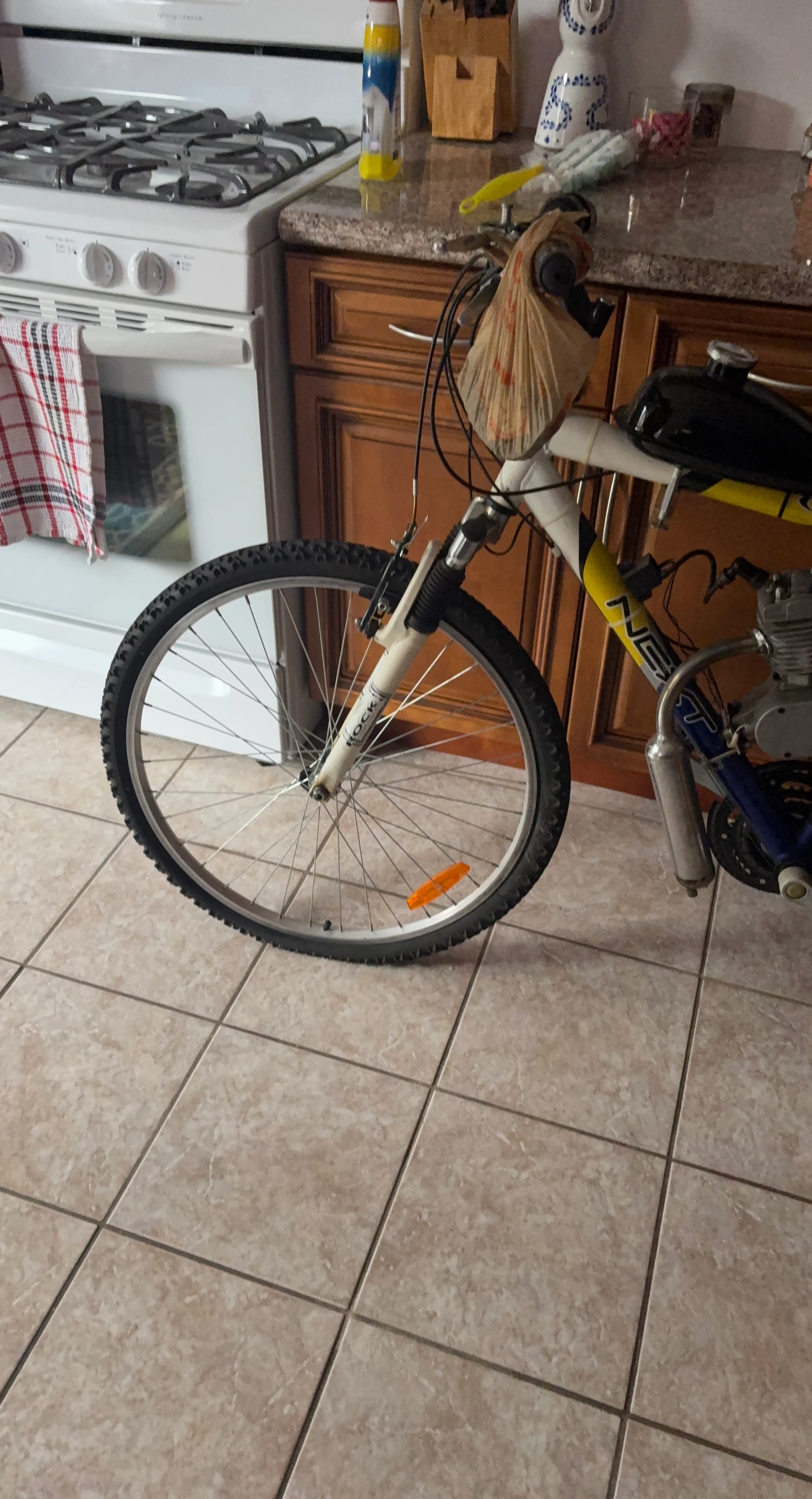 Motorized Bicycle
