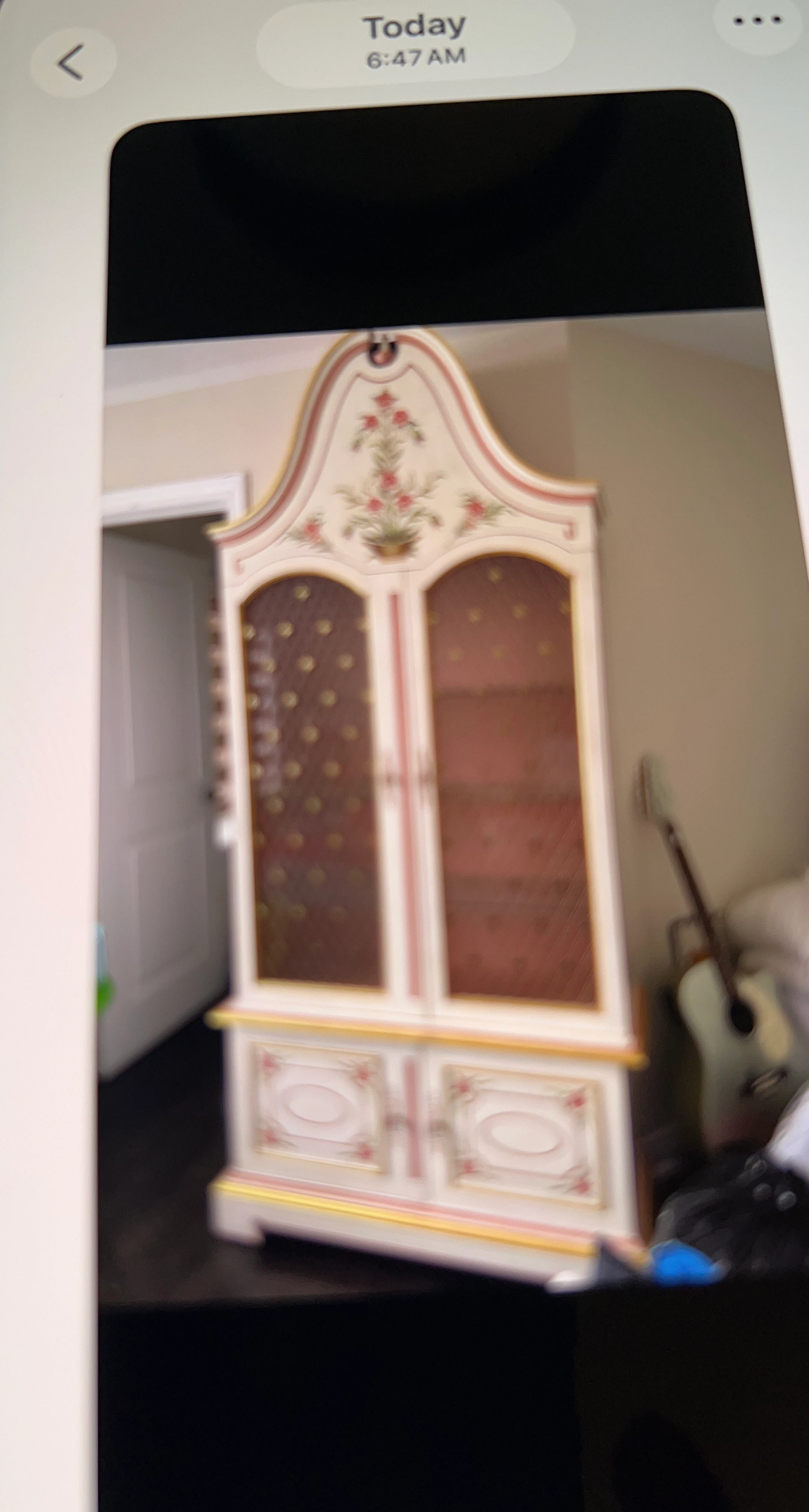 Ornate Decorative Cabinet with Glass Doors