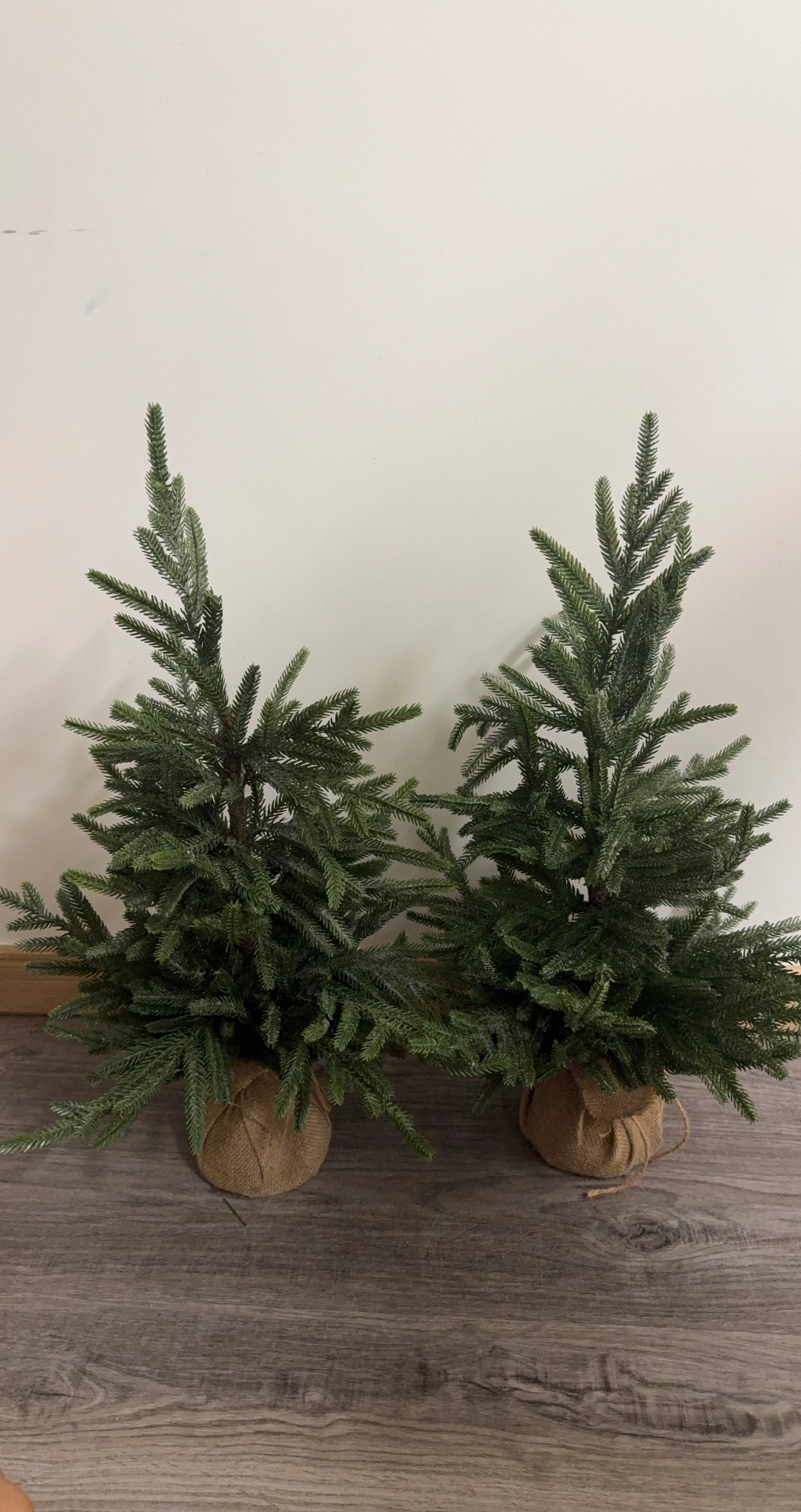 Two small artificial Christmas trees