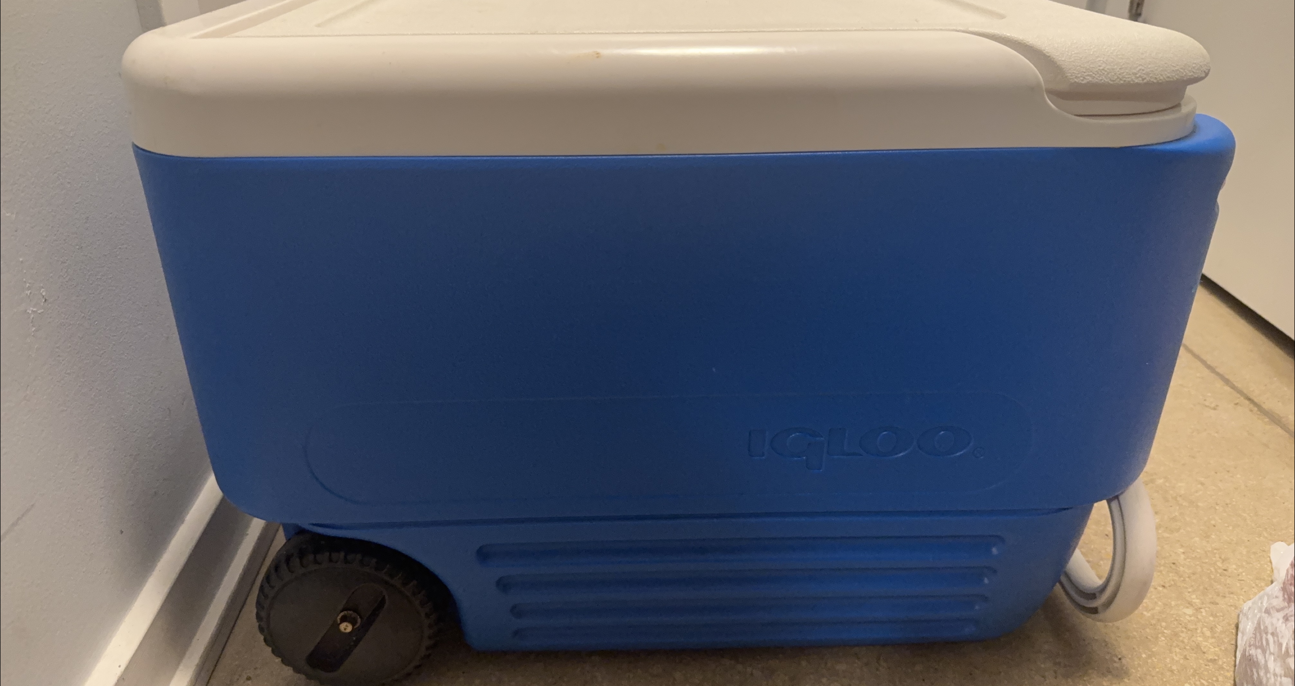 Igloo Rolling Cooler
