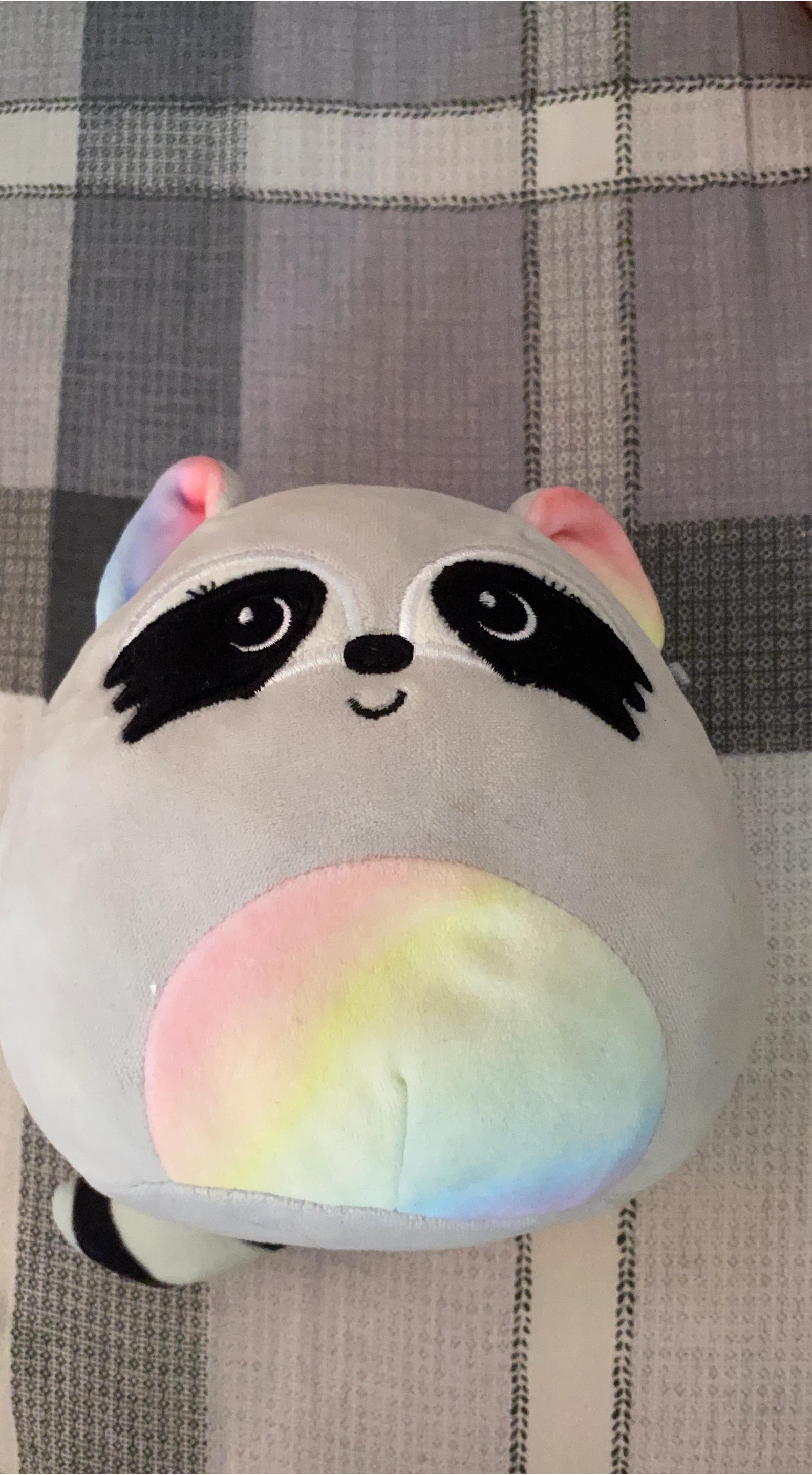 Gray Raccoon Plush Toy with Rainbow Accents
