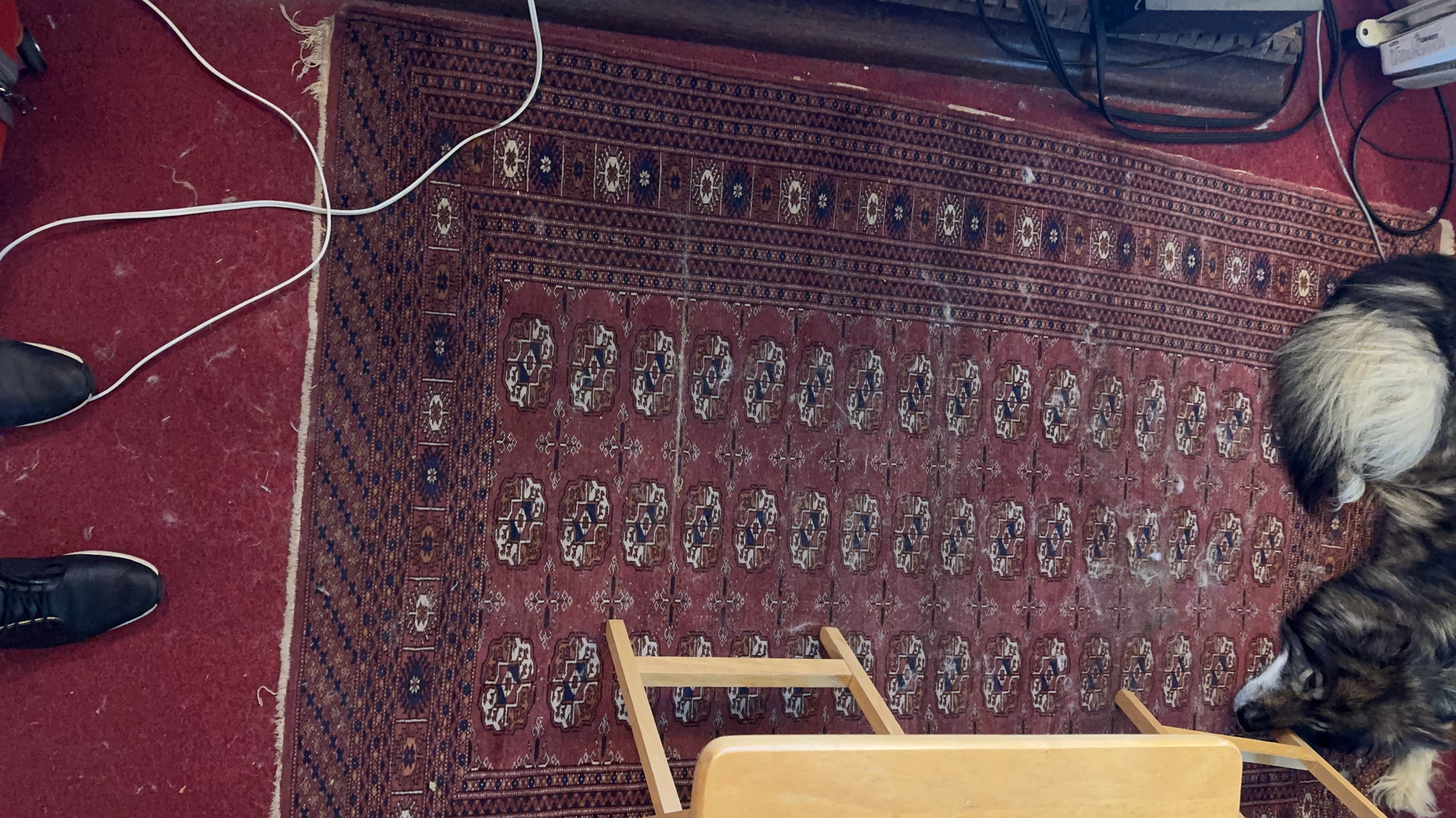 Red Persian Style Area Rug