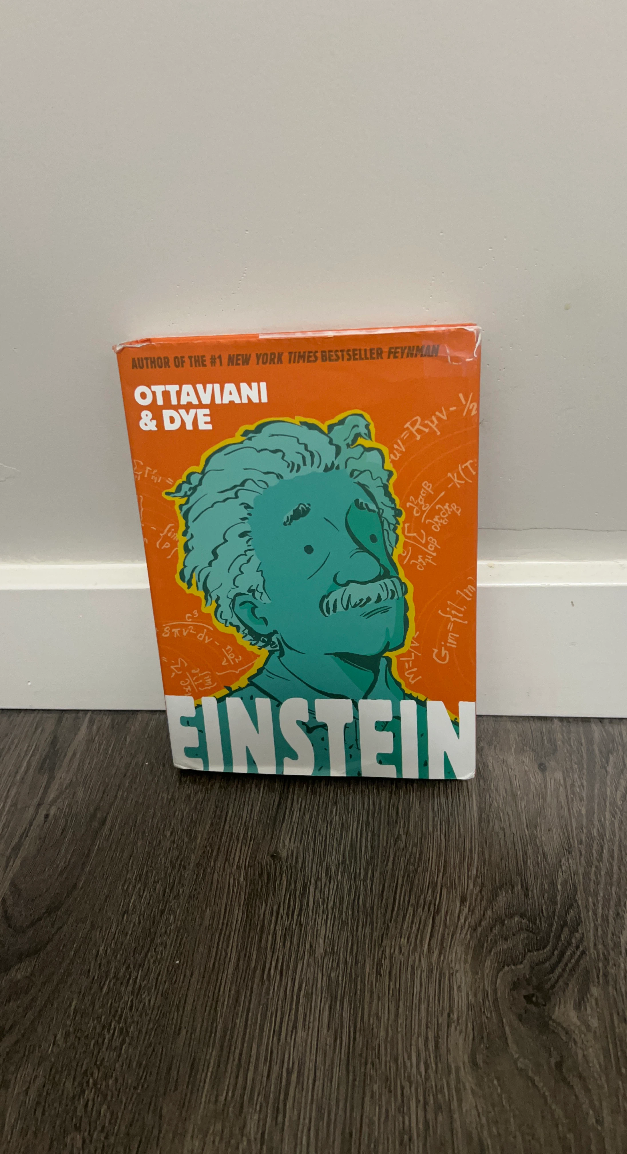 Einstein: The Graphic Biography