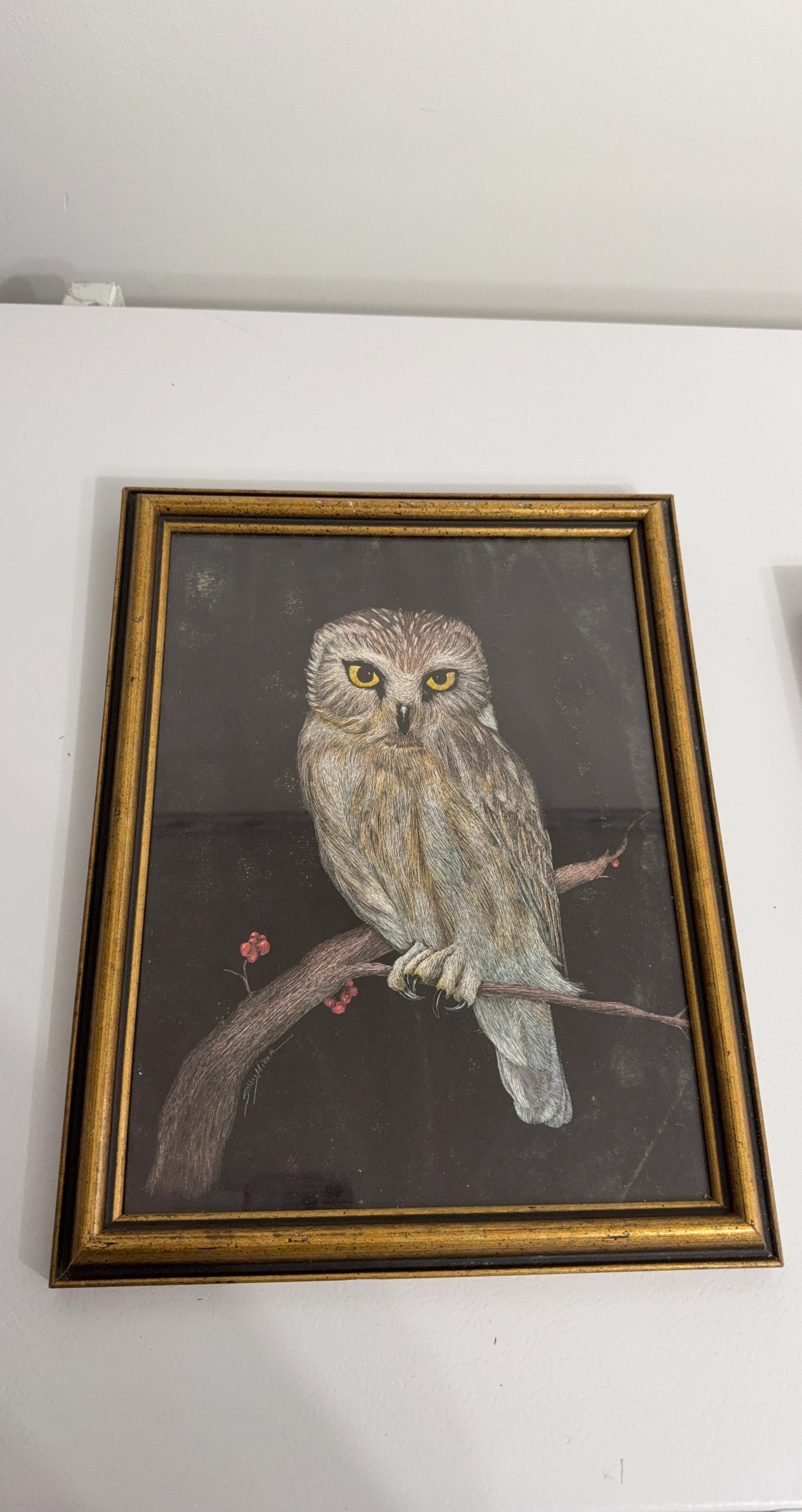 Framed Owl Art Print